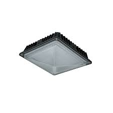 Landscape lighting can add so much to your property. Led Low Profile Canopy Light 58wt 5500 Lumen Multi Volt 5000 Kelvin Lights Fantastic Pro