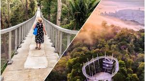 Free entrance for children under three (3) years old. The Habitat Penang Hill A Complete Guide To An Enchanting Malaysian Rainforest Experience Kkday Blog