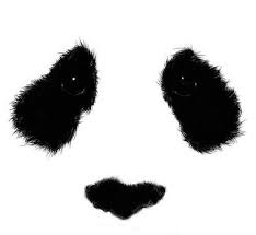 Black And White Panda Background Panda Face This Would Make A Cool Background Panda Art Panda Tattoo Panda Eyes
