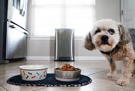 According to their website, this company uses local sources for their ingredients whenever possible and they hold themselves to about 80% of this product was sold through a single chain, pet food express. Is Your Pet S Food Making You Sick Study Finds Many Don T Know The Risk Purdue University News