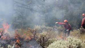 Sparks lake wildfire, british columbia, seen from the air on june 29, 2021 © afp hundreds of people have died amid the rising temperatures, including in british columbia, which has registered. Climate Change Is Forcing B C To Rethink How It Fights Wildfires Say Experts Cbc News