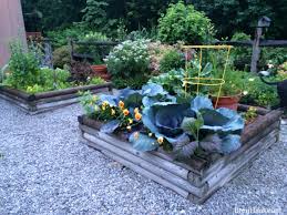 Also known as xeriscape gardens, gravel gardens are drought resistant, great at conserving water and beautiful in all seasons. How To Enhance Your Garden With Gravel