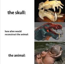 And if you want the dinosaur with 500 teeth to be your favorite, then go for it! Is Our Image Of Dinosaurs Maybe Completely False 9gag