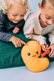 Nerdbugs Kidney Plushie Organ- Kidney Transplant Gift, Kidney Donor Gift,  Kidney Cancer Survivor Gift, Nephrology Nurse, Dialysis Tech Gift