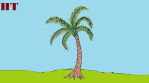 Palmas how to draw coconut trees draw a basic palm tree i like this version of drawing palm trees lecture d un message mail orange trees. How To Draw A Coconut Tree Step By Step