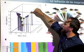 @dondelaspinto bailarín y coreógrafo modelo y mr. Dr Julian Torres Dowdall Evolutionsbiologie Uni Konstanz