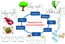  citric acid is most commonly used chemical agent as compared to other agents. Surface Modification Of Bio Polymeric Nanoparticles And Its Applications Springerlink