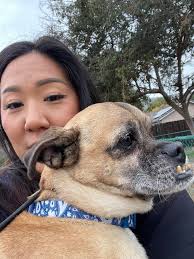 Any dog lovers in the group?