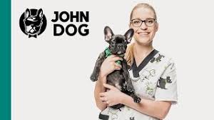 Kalendarz szczepień wg daty urodzenia. Kalendarz Szczepien Szczeniak Zdrowie Psa John Dog Youtube