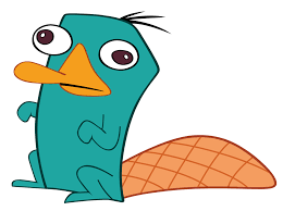 If You Can Look At This Picture And Not Sing Peh Eh Ry You Re Doing It Wrong Animals Perry The Platypus Platypus Baby Animals