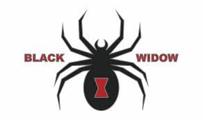 Please contact us if you want to publish a black widow logo wallpaper on our site. Black Window Chevy Black Widow Logo Transparent Png Download 2622581 Vippng