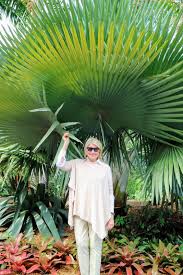 Image result for Copaifera baumiana