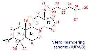 Check spelling or type a new query. Sterols Plant Sterols Sterol Esters Sterol Glycosides Ergosterol From Plants Algae And Fungi Structure Occurrence Biochemistry And Function
