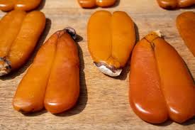Qualcuno sa dirmi come si dice bottarga di muggine? Bottarga Che Cos E Che Sapore Ha E Come Si Utilizza