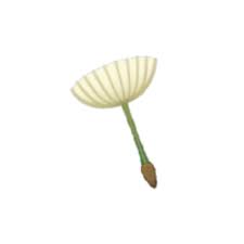 Dandelion Seed As An Emoji Drawing By Disney Disneyemojiblitz In 2021 Disney Emoji Blitz Emoji Drawing Dandelion Seed