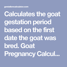Calculates The Goat Gestation Period Based On The First Date