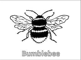 By best coloring pagesdecember 17th 2019. Bee Coloring Pages Free To Download And Print