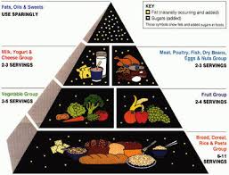 Old And New Food Pyramid Information And Pictures Disabled