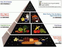 old and new food pyramid information and pictures disabled