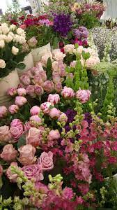 Allium Flower Shop Stow On The Wold Best Flower Wallpaper