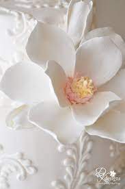 Dk Designs Large Form Magnolia Cake Flower Paper Flowers Flowers Birthday Wishes Flowers