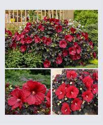 Check spelling or type a new query. Baker S Village Garden Center Gift Shoppe Home Facebook