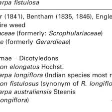 Image result for Rhamphicarpa brevipedicellata