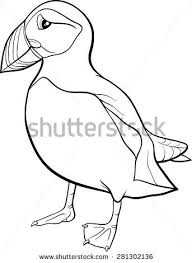 Bird Cartoon Pictures Black And White Black And White Cartoon Vector Illustration Of Atlantic Puffin Bird For Coloring Book Stock Vector Puffins Bird Bird Drawings Puffin