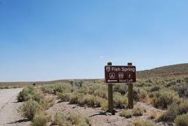 Image result for Little Catnip Spring - Sheldon Refuge Winnemucca NV
