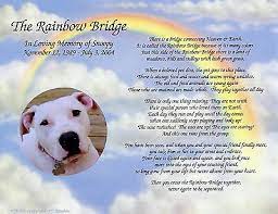 Therefore, pet grief can mean feelings of isolation, anger, frustration, and extreme sadness. Personalized Pet Memorial Poem The Rainbow Bridge For Loss Of Pet Ebay