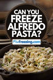 Can You Freeze Alfredo Pasta Forfreezing Com