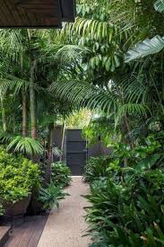 30 Top Tropical Garden Ideas 23 Garden Ideas Top Tropical Tropicalgardenideasmelbour Tropische Garten Tropischer Garten Gartengestaltung