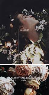 The greeks also had a floral goddess, chloris, who was married to zephyrus, the god of the west wind. Antheia Goddess Of Gardens Flowers Swamps And Marshes Greek Mythology Goddess Names Greek And Roman Mythology Mythology