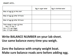 Egg Osmosis Lab Images From Ppt Download