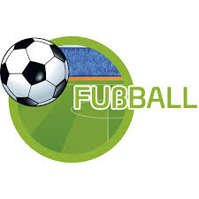 Image result for fotbal foarfeca