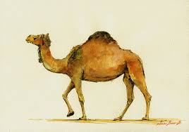 Hi im at sand grain bazaar on the stable keeper and he is not giving me a quest to get the camel im 57. Pin On A Ghobi Nursery Twins