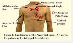 Heart And Neck Vessels Ha Ch 19 Flashcards Questions And Answers Quizlet
