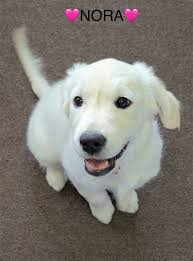 Tyson said they passed the Healthy Smile Test with flying colors 🤩❤️