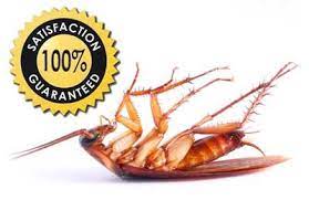 Our promise to all smart pest control customers. Big Toms Pest Control 5 N Main St Cedar City Ut Pest Control Mapquest