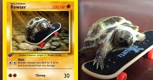About 2 years ago i bought a set of pokemon cards that came from the dragon exalted pack. Artist Transforms Pets Into Pokemon Cards 30 Pics Bored Panda