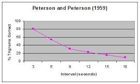 Duration Of Short Term Memory Experiment Peterson And