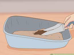 This really does help keep the smell to a minimum. How To Get Your House To Not Smell Like Your Pets With Pictures