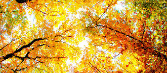 You could be seeing lower prices. Bolgerini Inn Geniessen Sie Ihren Herbst In Berlin