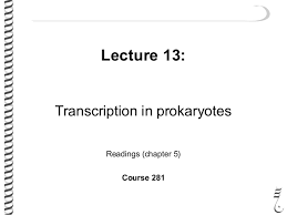 Transcription In Prokaryotes