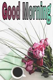 Yellow cup of coffee image. 151 Good Morning Coffee Hd Images With Cup And Flowers Best Status Pics