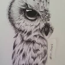 Pencil drawings of owls posted on drawings. Self Taught Artist On Instagram Bighead Little Owl Finished May Be Enough For This Littleowl Sketch Drawing Bigeye Owleye Owls Drawing Art Sketches Drawings