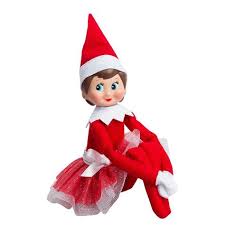 Scout elves aren't only christmas experts; Elf On Shelf Images
