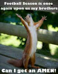 Pin On Funny Animals