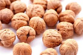I saw a video a while ago saying walnuts are a great treat for hams and when given in their shells help wear down teeth and nails, i thought . Nusse Artlander Pflanzenhof