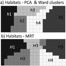 Image result for Craterosiphon quarrei